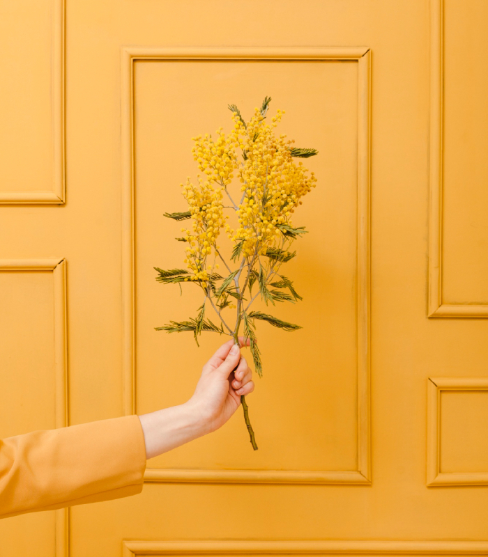 Décoration murale jaune avec moulures et bouquet de mimosa